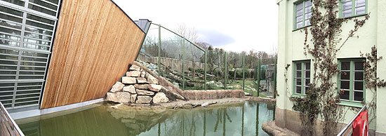 Im Becken zwischen dem Affenhaus und den Außenalagen schwimmen Störe (©Foto. Martin Schmitz)